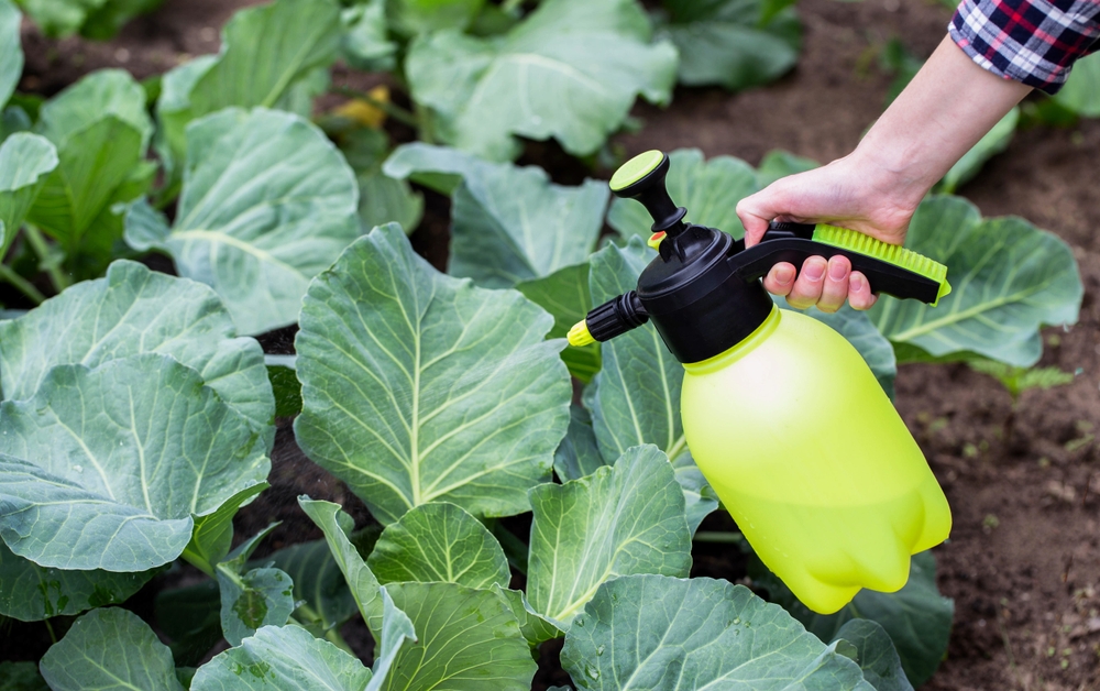 Green ammonia production process could revolutionise farming