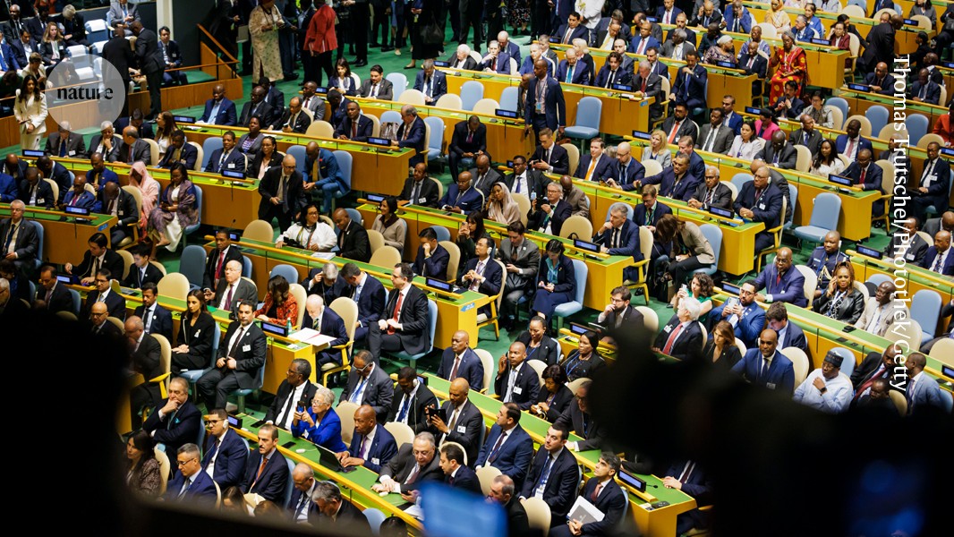 Support the Pact for the Future