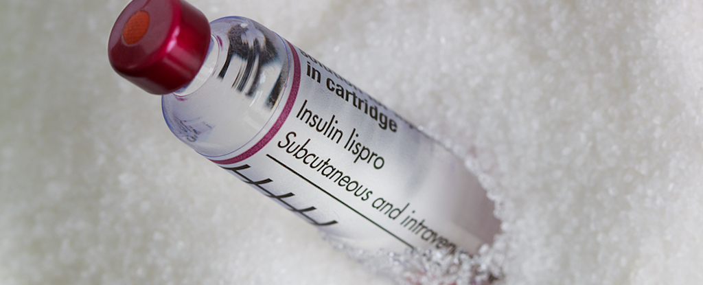 Type 1 Diabetes May Be Triggered by Bacterial Infections, Scientists Find